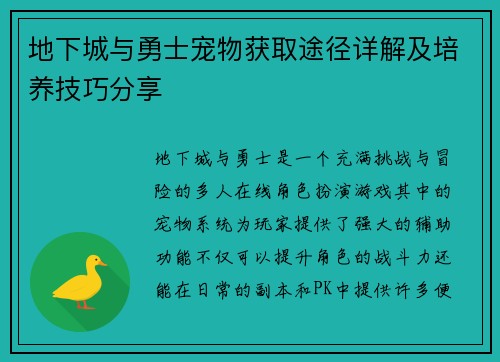 地下城与勇士宠物获取途径详解及培养技巧分享
